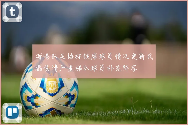 海港队足协杯缺席球员情况更新武磊伤情严重梯队球员补充阵容